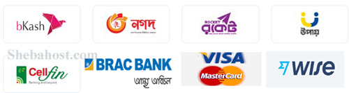 Brac bank, Bkash payment, Nagad payment, Rocket Payment, Upay payment,cellfin payment,Visa payment,wise payment logo by Shebahost