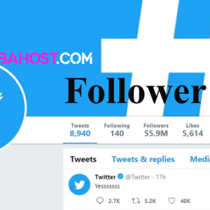 Twitter Followers - 1k - East Asia (Japanese, Korea, Hong Kong) [ No Refill ]- HQ Accounts